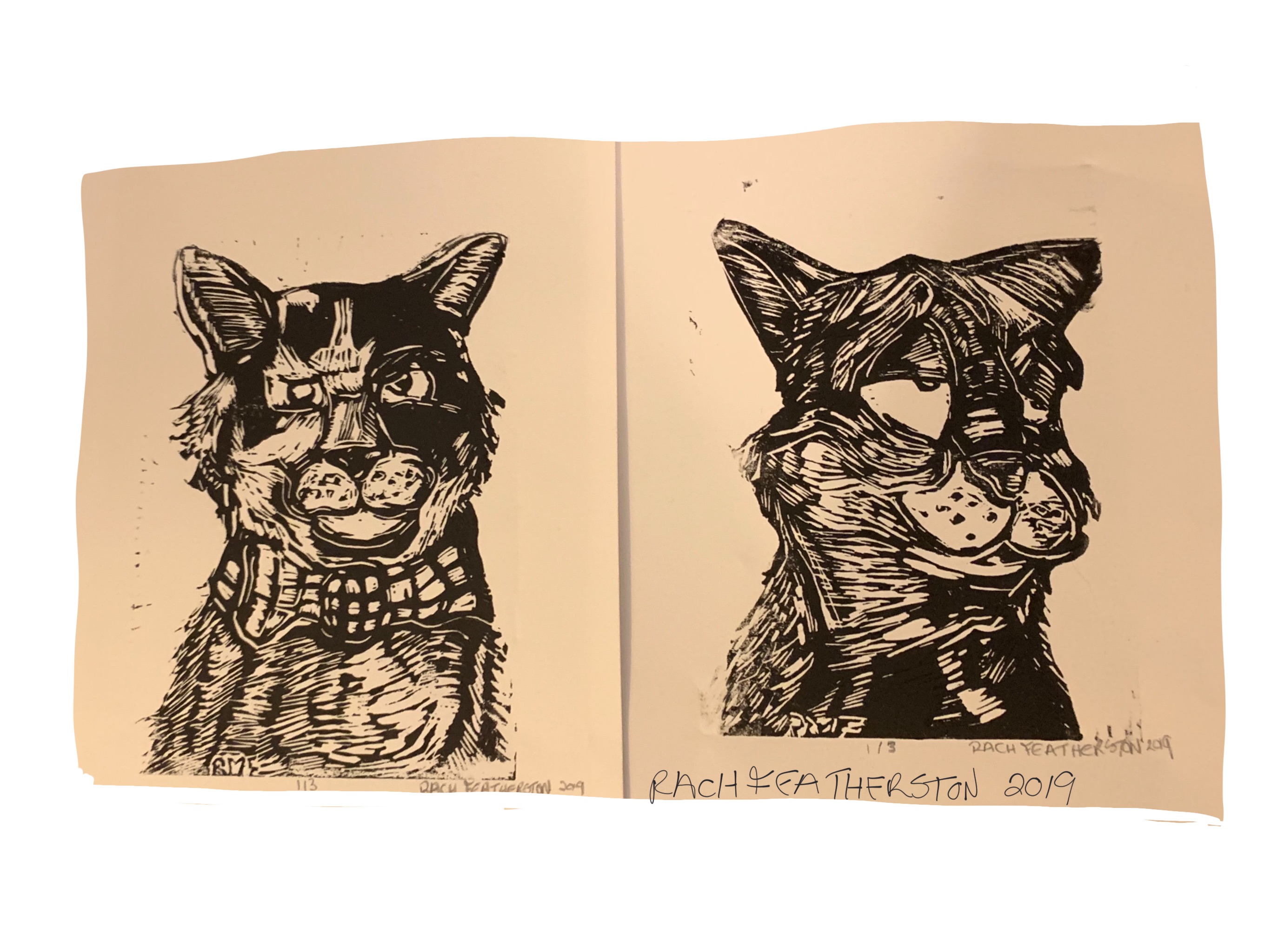 9317ED6A-A935-4741-8728-75DF51F7B9A5